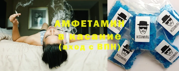 ГАЛЛЮЦИНОГЕННЫЕ ГРИБЫ Козловка