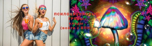 стаф Краснотурьинск