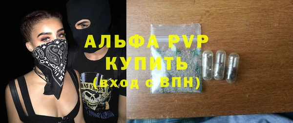 гашик Весьегонск