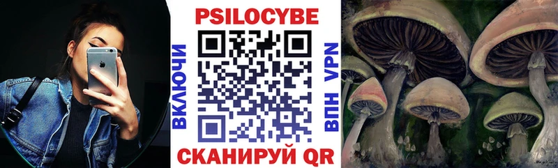 mega маркетплейс  Котельнич  Псилоцибиновые грибы Magic Shrooms  продажа наркотиков 