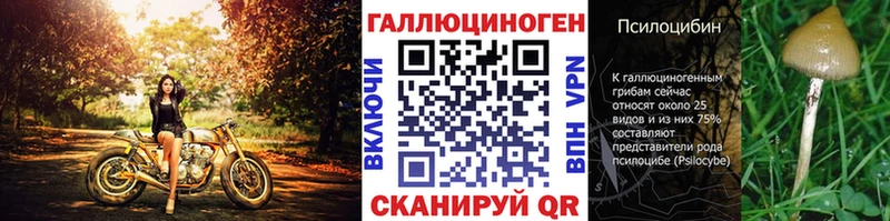 Галлюциногенные грибы Psilocybine cubensis Котельнич